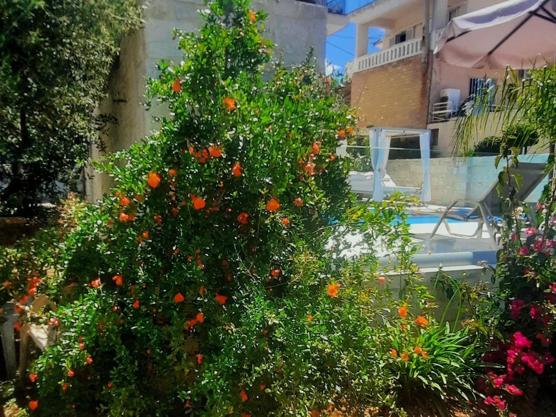 Amare Holiday home Perivolia (Theriso)
