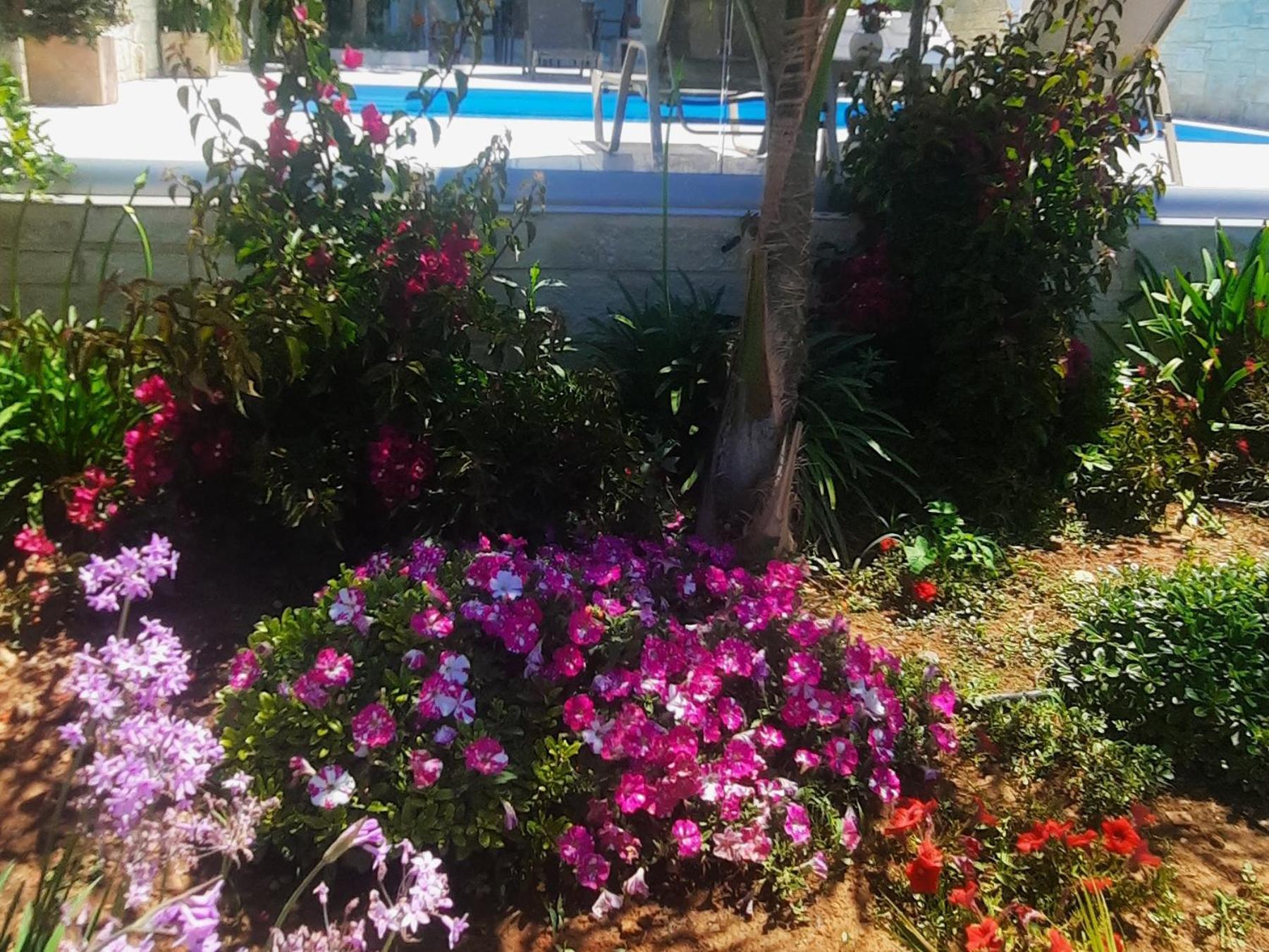 Amare Holiday home