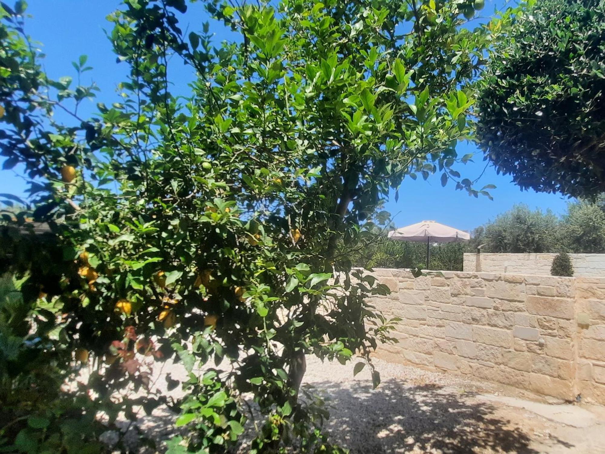 Holiday home Amare